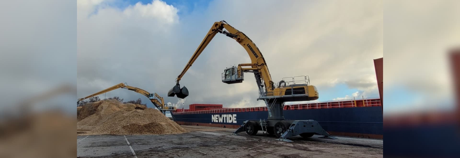 Umschlag mit Staplertechnik im Rostocker Seehafen